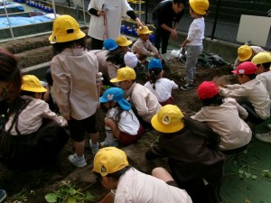 KODAK Digital Still Camera