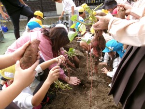 KODAK Digital Still Camera