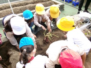 KODAK Digital Still Camera